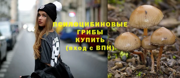 ECSTASY Покров