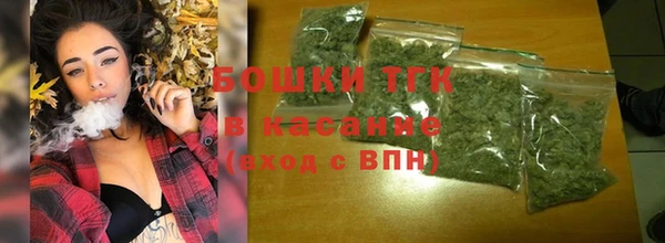 дмт Переславль-Залесский
