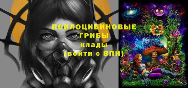 прущие грибы Пестово