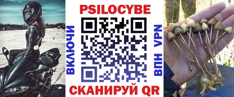 Псилоцибиновые грибы мухоморы  Купить закладки  Майский 